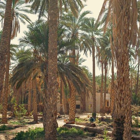 טוזר Villa Taouzert מראה חיצוני תמונה